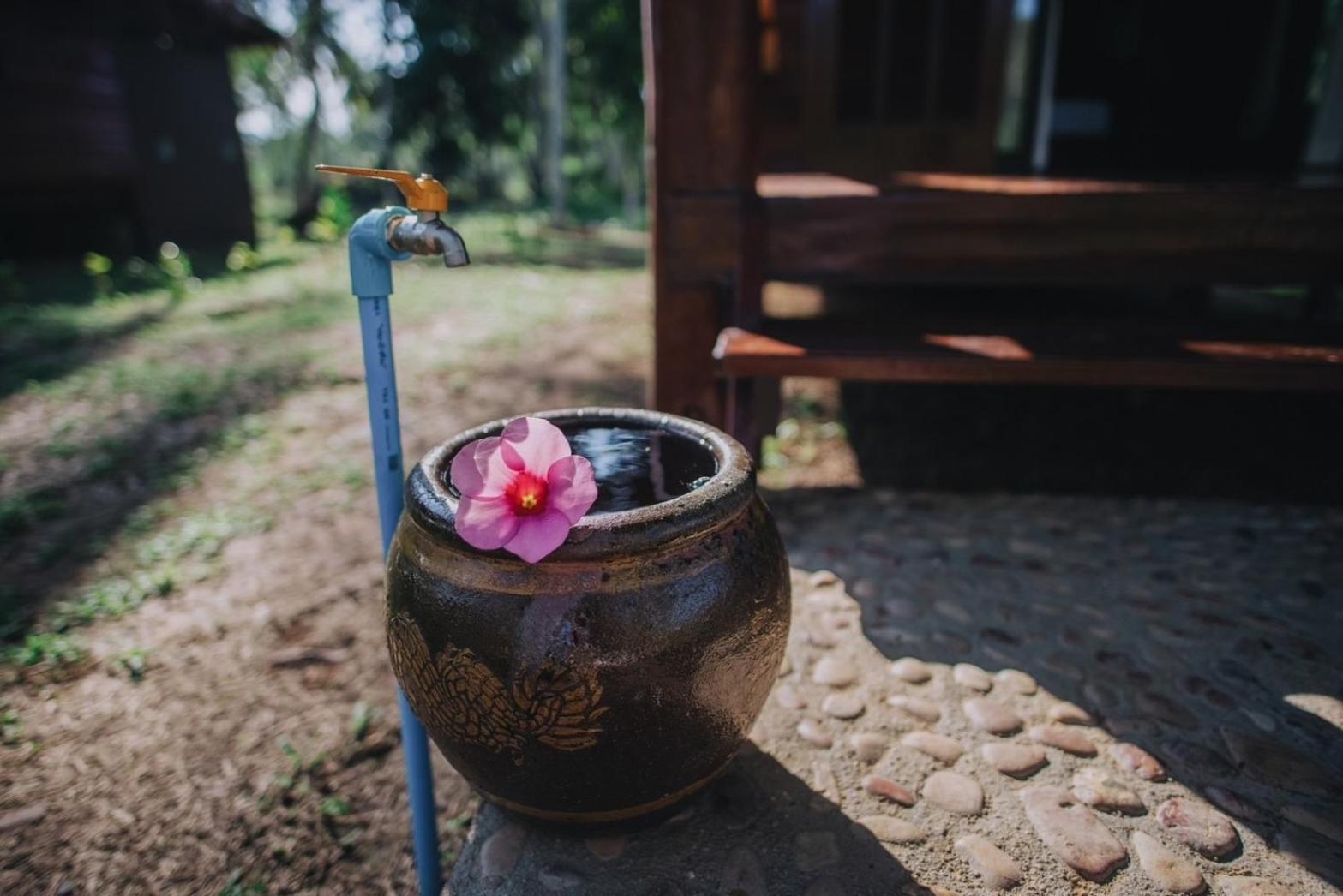 Coco Canopy Boutique Resort เกาะจำ ภายนอก รูปภาพ