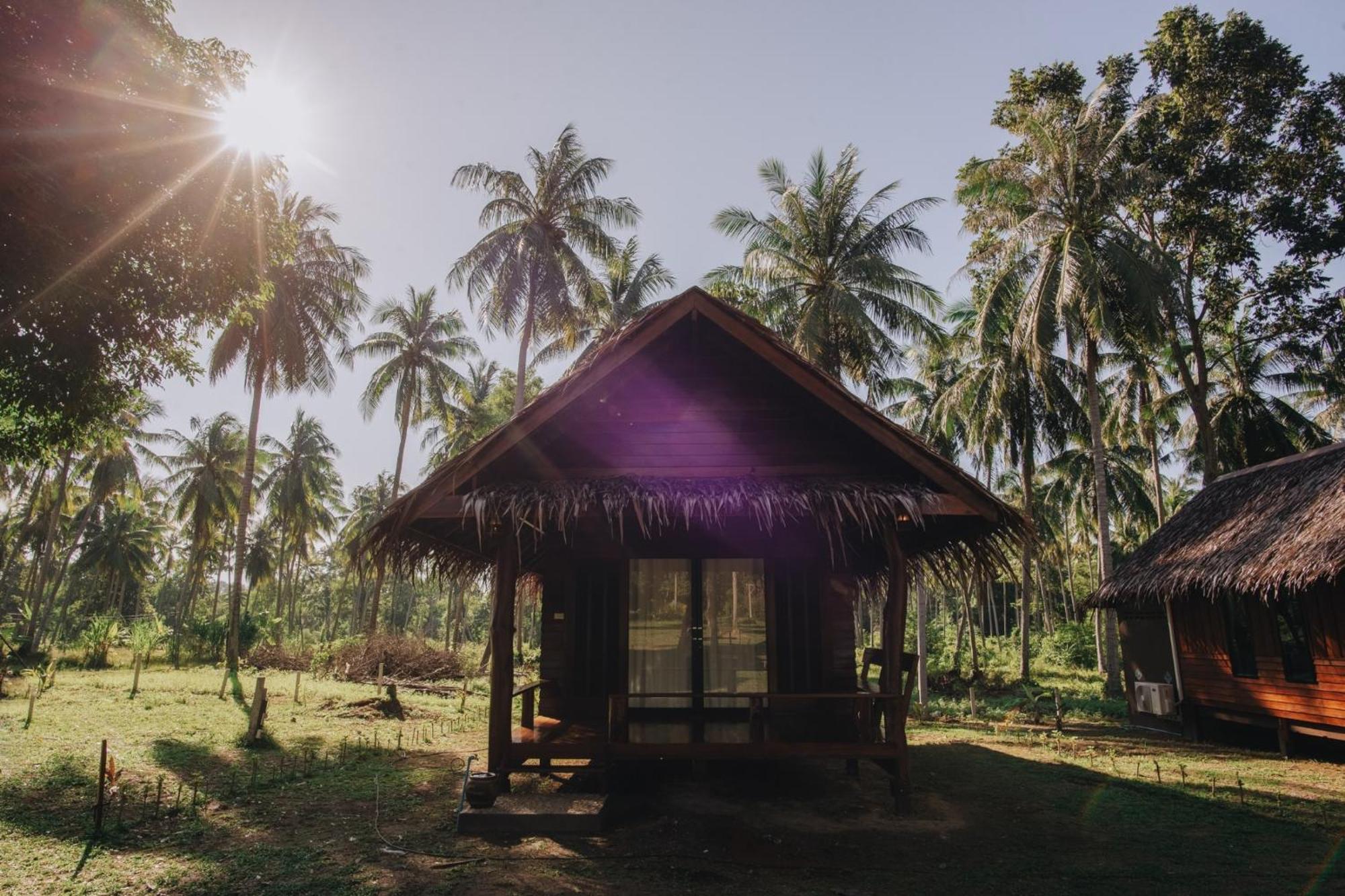 Coco Canopy Boutique Resort เกาะจำ ภายนอก รูปภาพ
