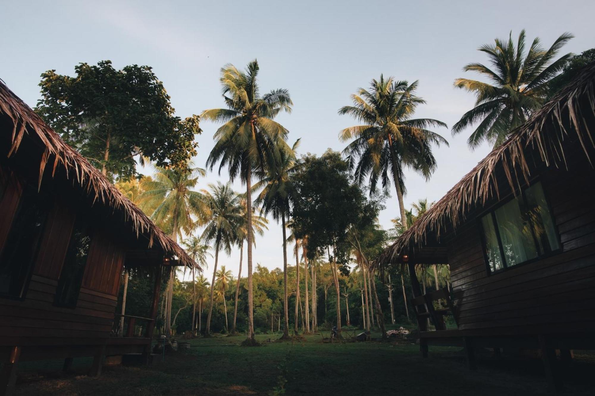 Coco Canopy Boutique Resort เกาะจำ ภายนอก รูปภาพ